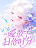 爱散于日落时分