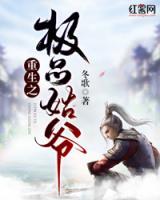 重生之极品姑爷