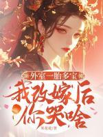 外室一胎多宝，我改嫁后你哭啥