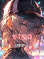 绿野追凶