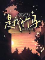 黑老大是我竹马