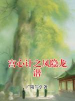 宫心计之凤隐龙潜