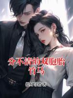 分不清的双胞胎竹马