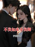 不负如来不负卿