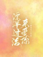 漂洋过海来爱你