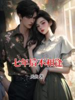七年后不相逢
