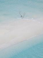 他只是有保护欲