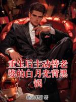 重生后主动替老婆的白月光背黑锅