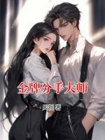 金牌分手大师