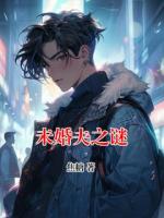 未婚夫之谜