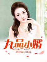 九品小婿