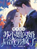绝不原谅！苏小姐闪婚后渣男疯了