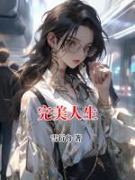 完美人生