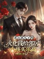 老公拿儿子的火化钱给邻居小孩买乐高