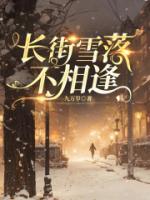 长街雪落不相逢