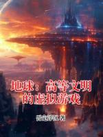 地球：高等文明的虚拟游戏