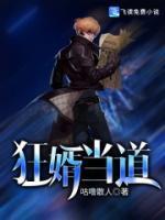 狂婿当道