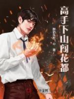 高手下山闯花都