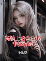 高铁上老公让我非法行医