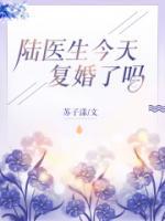 总裁追着前妻跑