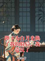 陛下为白月光换了我的脸后，我造反了