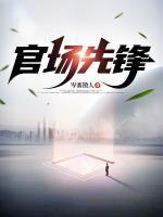 官场先锋
