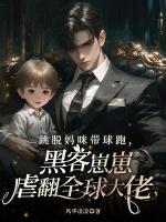 跳脱妈咪带球跑，黑客崽崽虐翻全球大佬