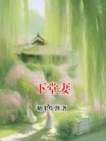 下堂妻