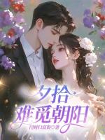 夕拾难觅朝阳
