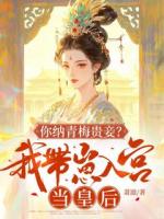 镇北将军独女苏婉清