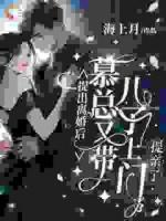 离婚后她带着光芒归来，总裁悔断肠