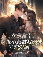 联姻翻车！疯批小叔被我踹成恋爱脑