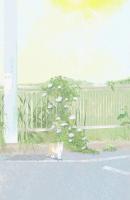 重生后，我让全家信教信到疯