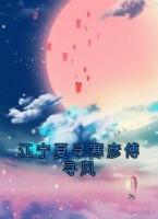 江宁夏寻寒彦傅寻风