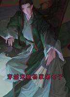 穿越宋朝杨家第七子