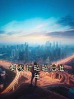 秦枫封昭昭陆淮年