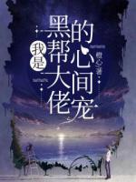 我是黑帮大佬的心间宠