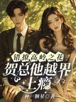 错撩高岭之花，贺总他越界上瘾