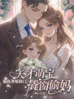 偏执爹地锁门，天才萌宝撬窗偷妈