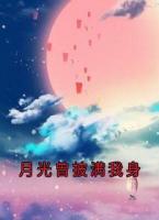 月光曾披满我身