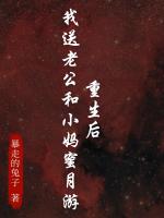 重生后，我送老公和小妈蜜月游