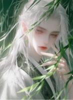 考取功名后我屠了全村人