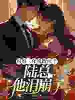 闪婚三年说散伙？陆总他泪崩了