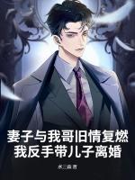 妻子与我哥旧情复燃，我反手带儿子离婚！