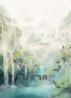 黑白飞升