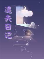 追夫日记