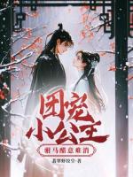 团宠小公主，驸马醋意难消