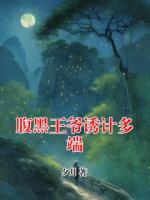 腹黑王爷诱计多端