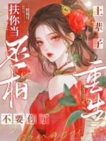 上辈子扶你当丞相，重生不要你了