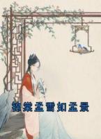 锦棠孟雪如孟景